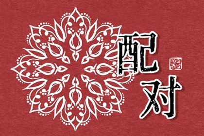 日支定夫妻宫:合与冲