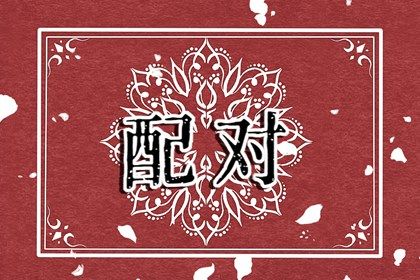 血型与性格标签