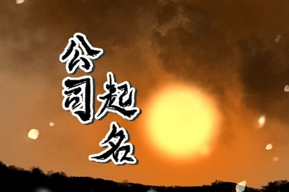 示例命局怎么用
