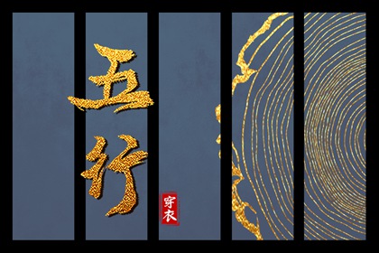 数字化五行参考用法